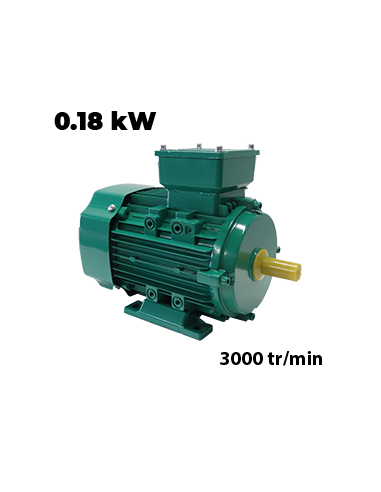 Motor trifásico 220/380 V, 3000 rpm